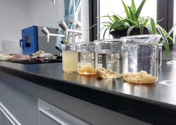 Kationischer Polymer-Schlamm-Conditioner-Minenindustrie-chemischer Sedimentbildungs-Zusatz